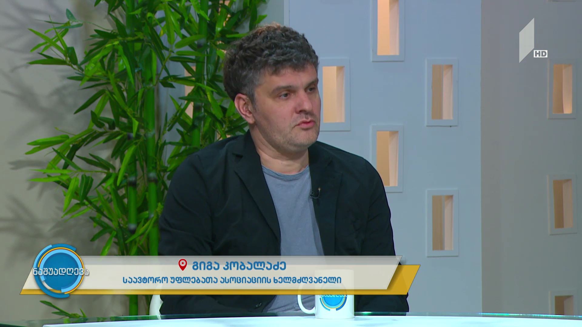 „ავტორი“ - საუბრები საავტორო უფლებების დაცვაზე გიგა კობალაძესთან ერთად