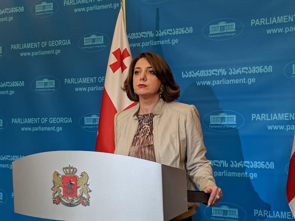 სალომე სამადაშვილი ხელისუფლებას მოუწოდებს, არჩევნებთან დაკავშირებით დასავლელი პარტნიორების რეკომენდაციები შეასრულოს