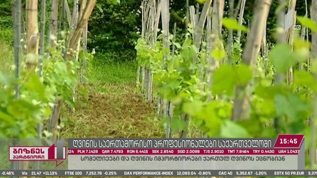 საქართველოს მსოფლიოს სხვადასხვა ქვეყნიდან მეღვინეობის სფეროს 70-მდე წარმომადგენელი სტუმრობს
