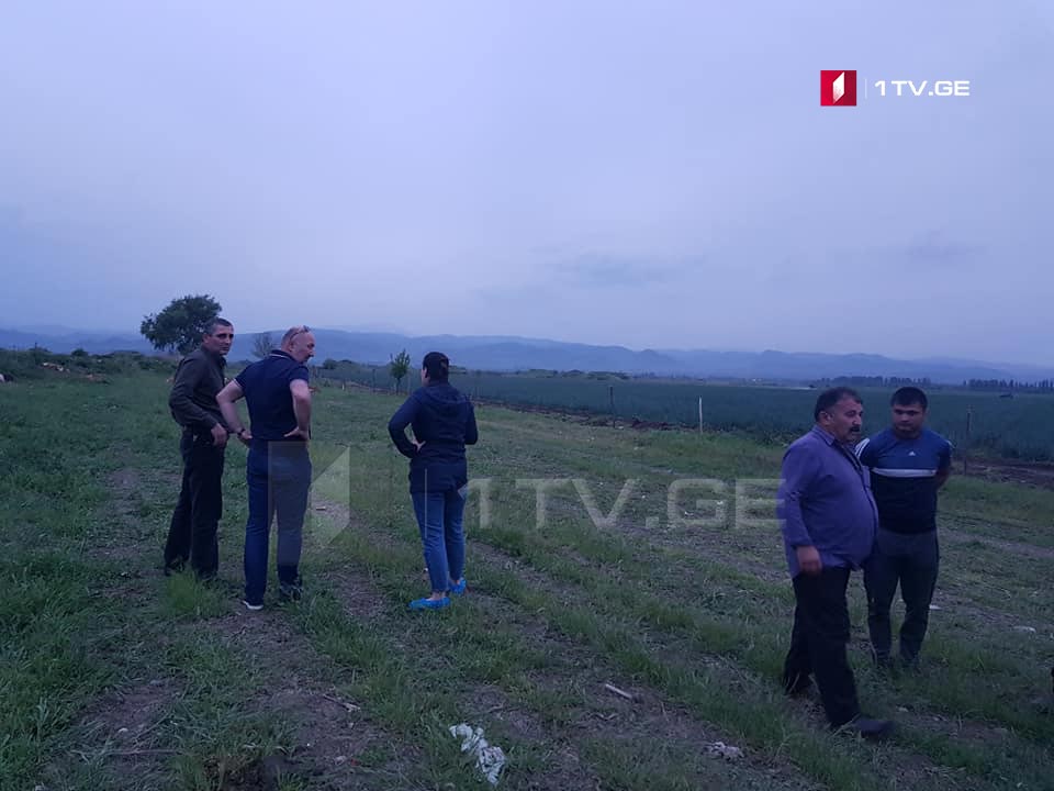 სურსათის სააგენტოში ვარაუდობენ, რომ სოფელ ყიზილაჯლოში საქონლის მასობრივი დახოცვა პრეპარატების არასწორად გამოყენებამ გამოიწვია [ვიდეო]