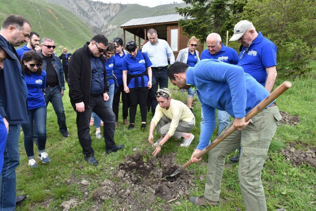 ბორჯომის ხეობაში, ხანძრით დაზიანებულ ტყეში დარგვის საგაზაფხულო სამუშაოები დასრულდა