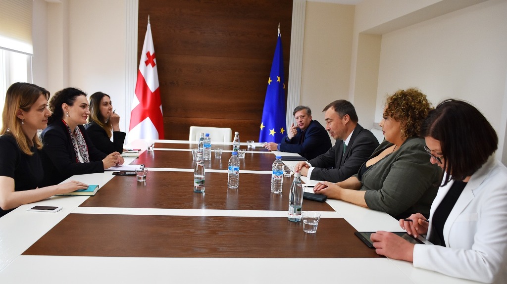 ქეთევან ციხელაშვილი ევროკავშირის სპეციალურ წარმომადგენელს, ტოივო კლაარს შეხვდა
