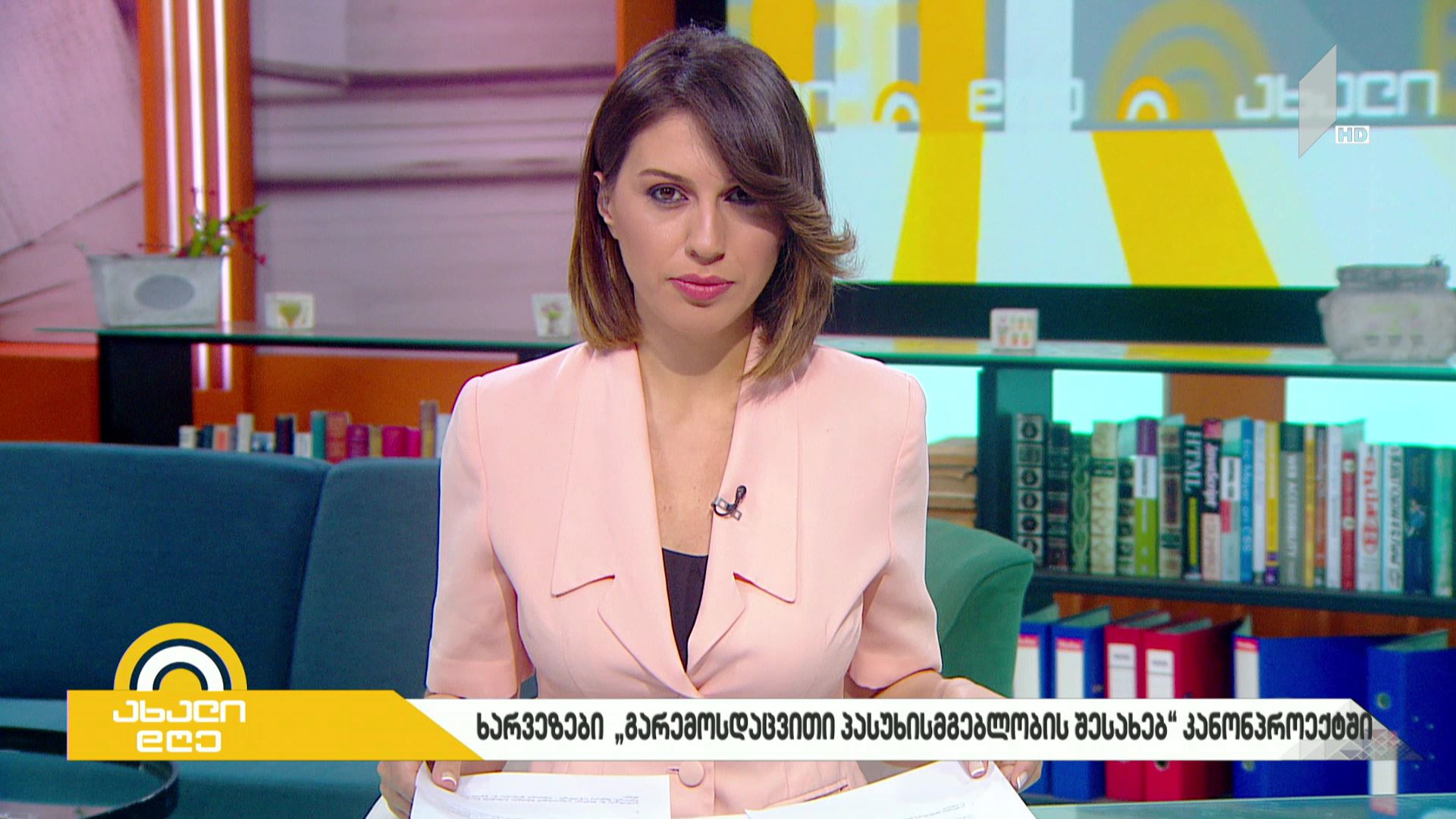 ხარვეზები „გარემოსდაცვითი პასუხისმგებლობის შესახებ“კანონპროექტში