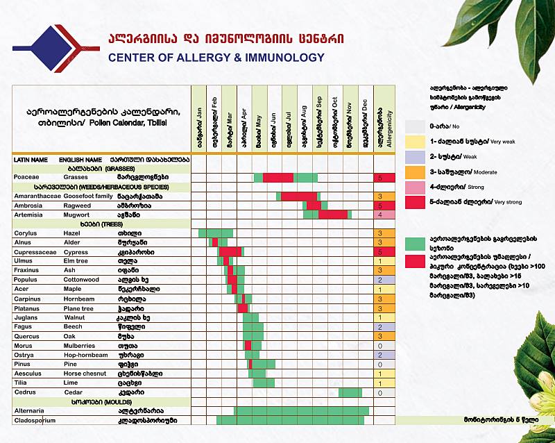 პიკის საათი - ,,ეკოპიკი“ -სეზონური ალერგიები