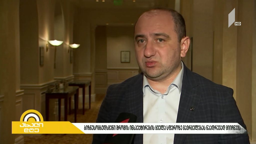 „ბიზნესპარტნიორი“ – ბიზნესომბუდსმენი შრომის ინსპექტირების ყველა სფეროზე გავრცელებას ნაადრევად მიიჩნევს