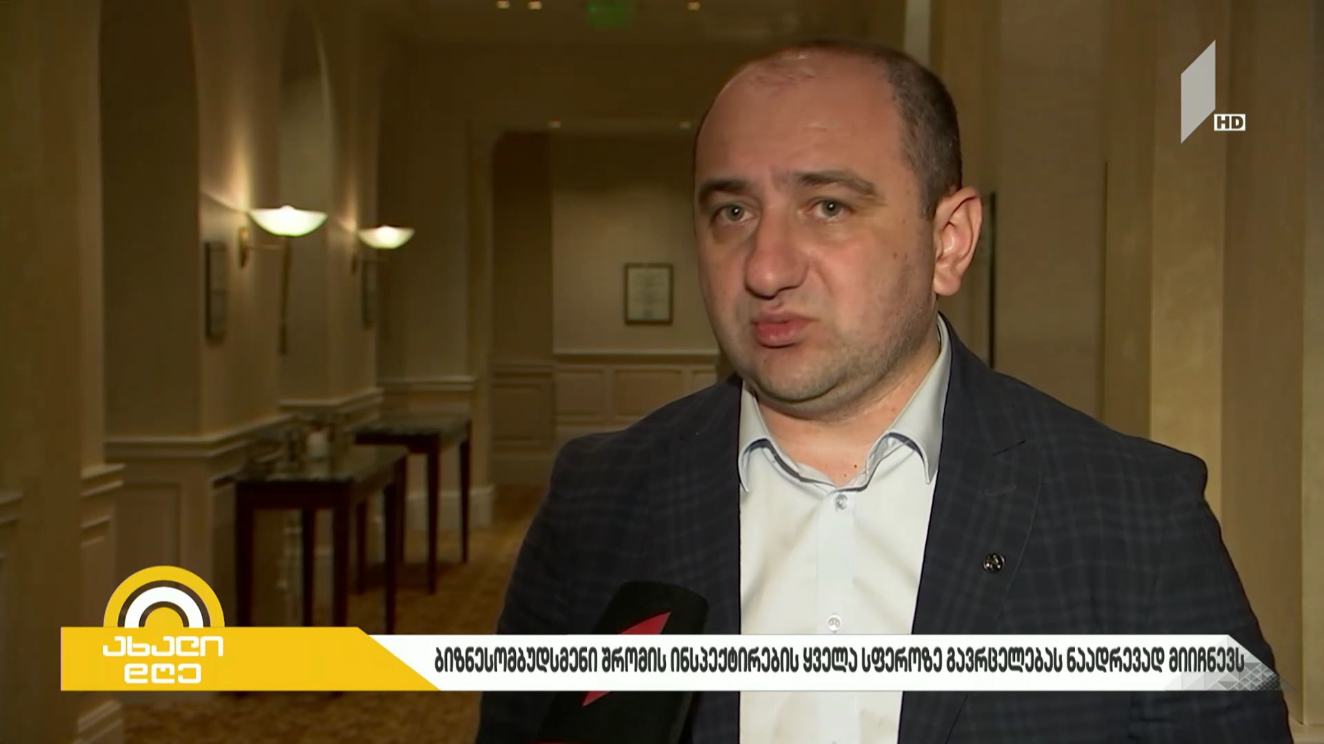 ბიზნესომბუდსმენი შრომის ინსპექტირების ყველა სფეროზე გავრცელებას ნაადრევად მიიჩნევს
