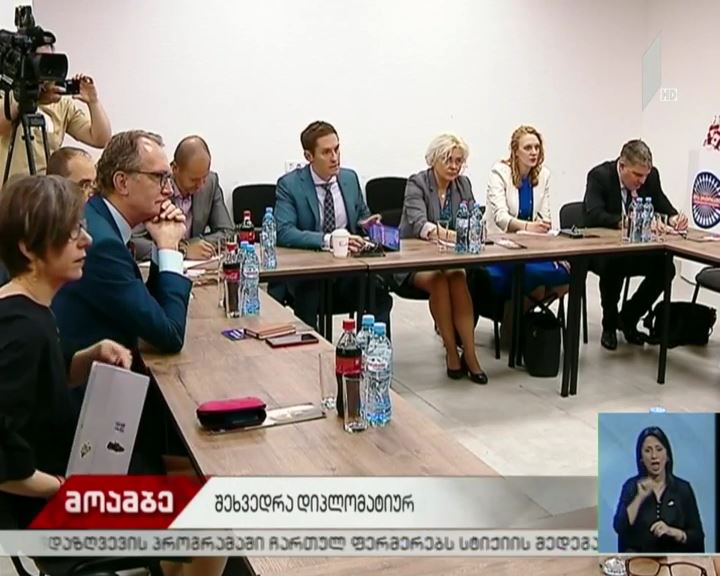 სანდრა რულოვსის შეხვედრა დიპკორპუსთან
