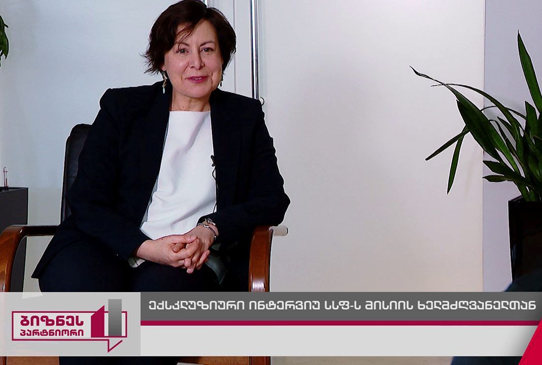 სავალუტო ფონდის მისიის შეფასება