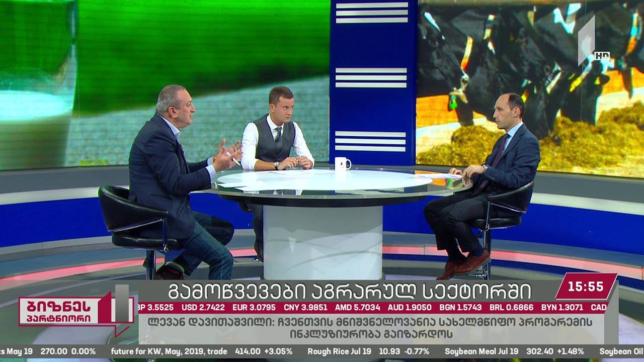 სოფლის მეურნეობის წილი საქართველოს ეკონომიკის განვითარებაში