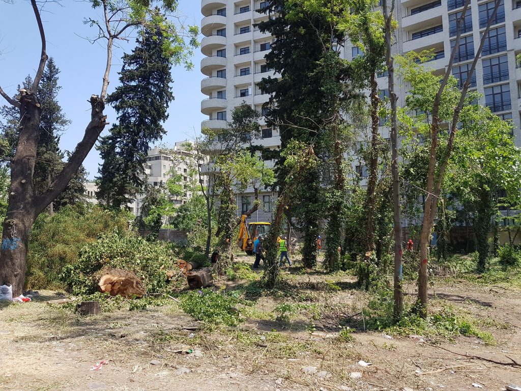 თბილისში, ბოჭორმის ქუჩის მაცხოვრებლები კორპუსთან ხეების ჭრას აპროტესტებენ