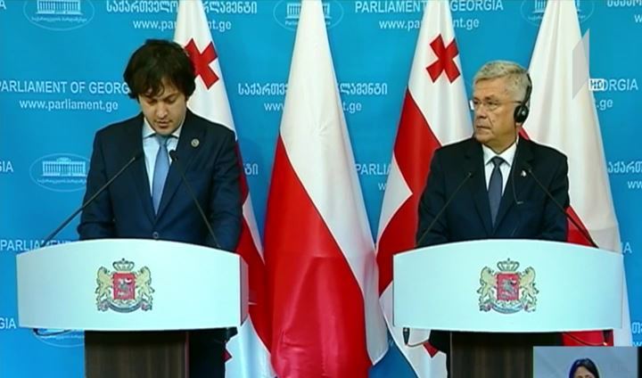 საქართველოს პარლამენტის თავმჯდომარე პოლონელ კოლეგას შეხვდა