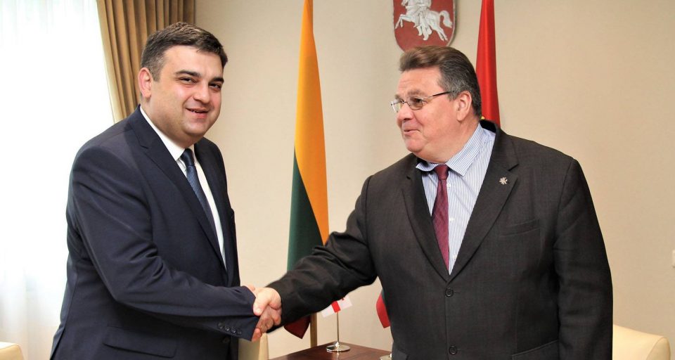 ლიეტუვაში საქართველოს ელჩი ქვეყნის საგარეო საქმეთა მინისტრ ლინას ლინკევიჩუსს შეხვდა