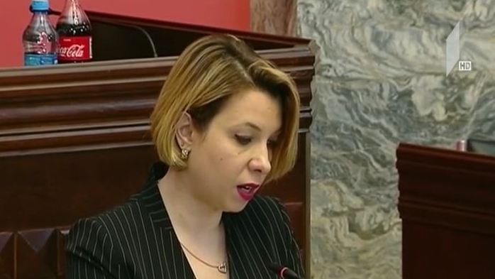 ომბუდსმენი დეპუტატებს 2018 წლის ანგარიშს აცნობს