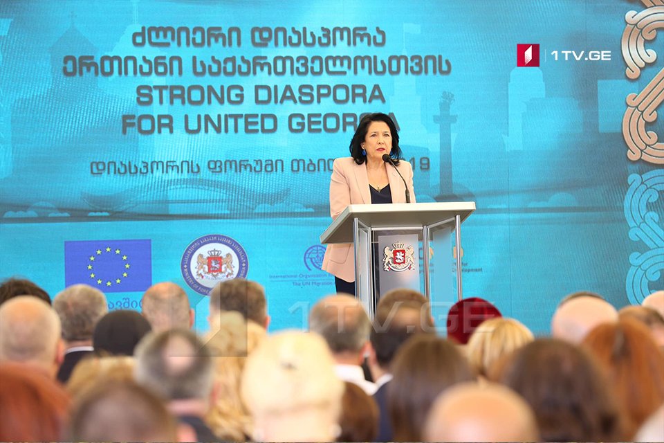 Salome Zurabişvili diaspor nümayəndələrinə müraciət edir - bizim gələcəyimiz birdir, dövlətimiz üçün birgə işlər görə bilərik