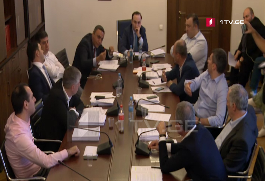 შალვა შავგულიძემ იურიდიულ კომიტეტზე უპასუხოდ დატოვა კითხვა, არიან თუ არა ვანო მერაბიშვილი და ბაჩო ახალაია პოლიტპატიმრები [ვიდეო]