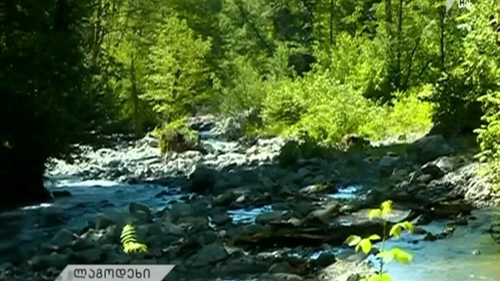 ტრაგედიით დასრულებული ექსკურსია