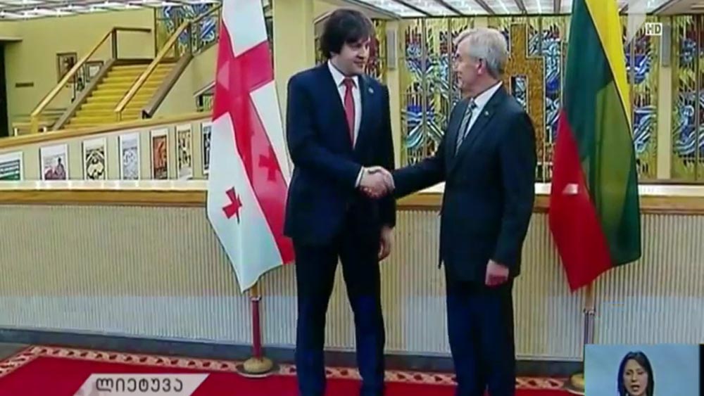 ირაკლი კობახიძე ლიეტუველ კოლეგას შეხვდა