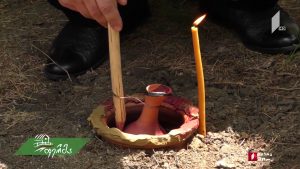 ფერმა 2019 06 02.mp4_20190602_133254.401