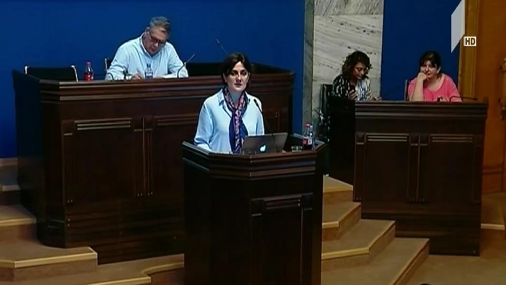 სემეკის თავმჯდომარემ წლიური ანგარიში წარადგინა
