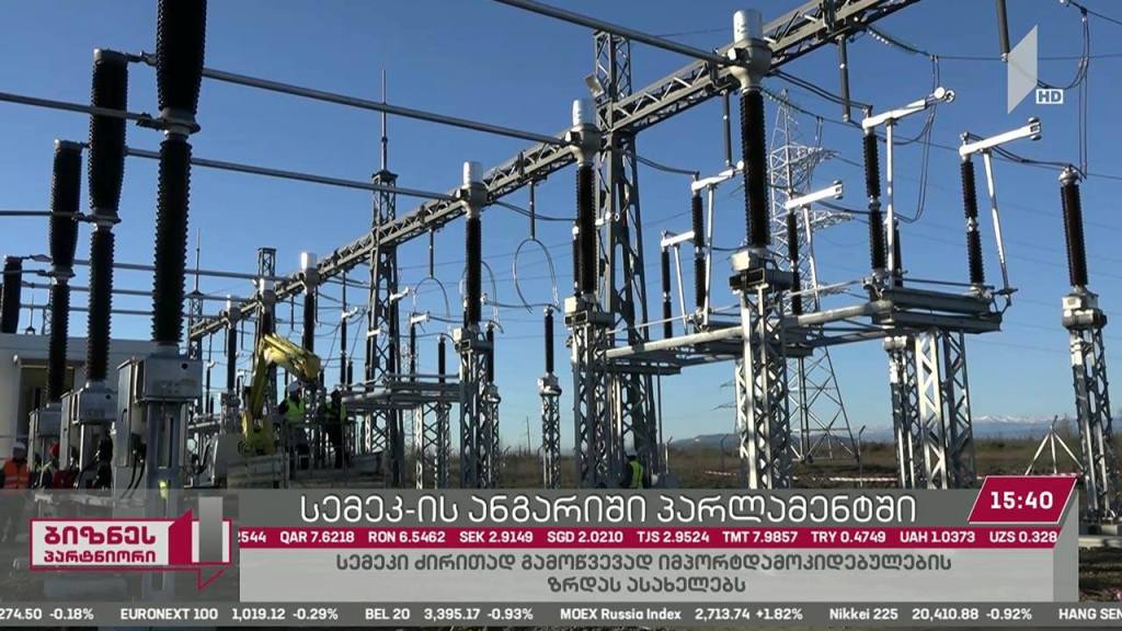 ირინა მილორავამ პარლამენტში სემეკ-ის 2018 წლის საქმიანიბის ანგარიში წარადგინა