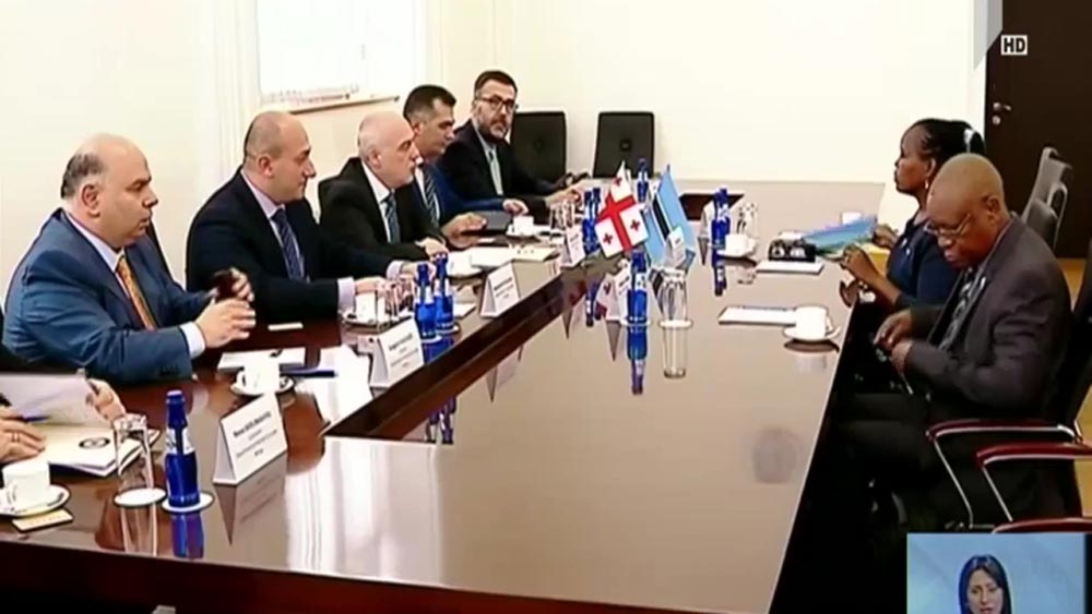 დავით ზალკალიანმა ბოტსვანელ კოლეგას უმასპინძლა