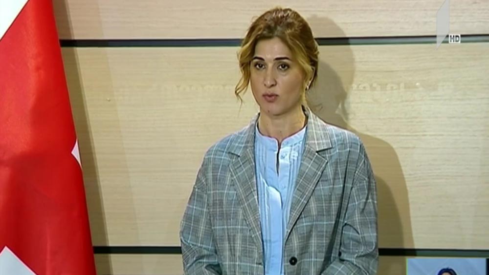 ბრიფინგი განათლების სამინისტროში