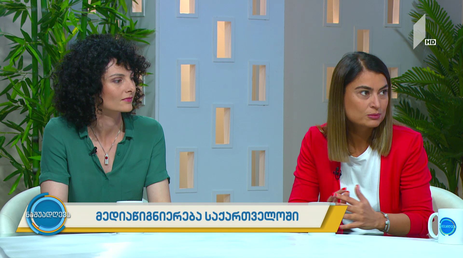 მედიაწიგნიერება საქართველოში - 1TV ნაშუადღევს
