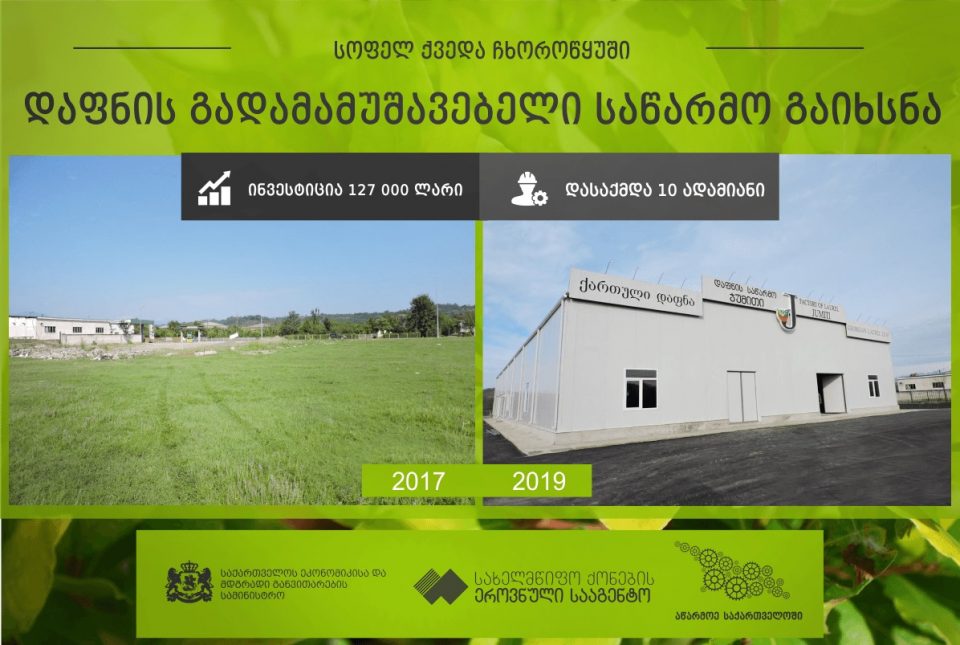 ჩხოროწყუში დაფნის გადამამუშავებელი საწარმო გაიხსნა