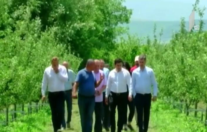 აგროდაზღვევის პროექტი