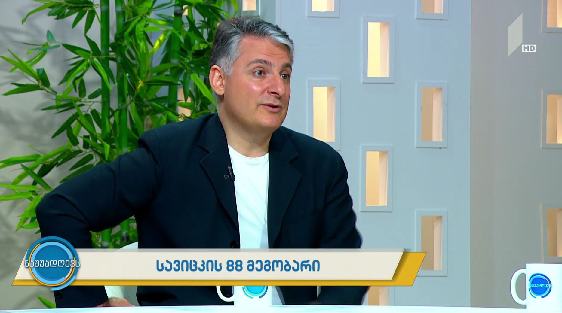 სავიცკის 88 მეგობარი