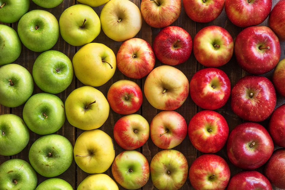 წელს ვაშლის ექსპორტის მოცულობა 14-ჯერ აღემატება 2019 წლის ანალოგიური პერიოდის მაჩვენებელს