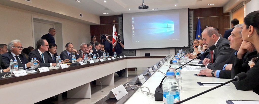 მამუკა ბახტაძე ელჩებს შეხვდა