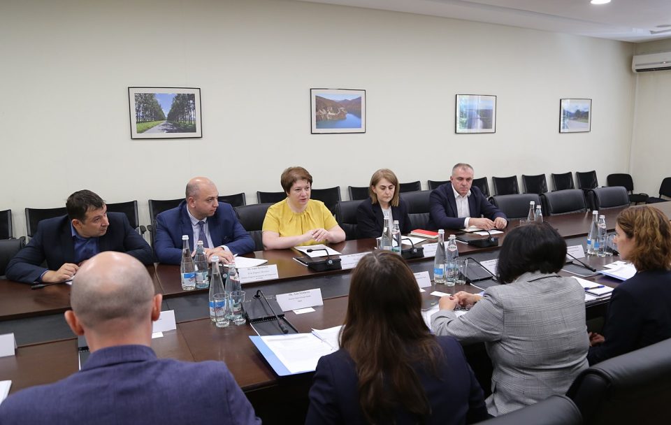 მაია ცქიტიშვილი ევროპის რეკონსტრუქციისა და განვითარების ბანკის დელეგაციას შეხვდა