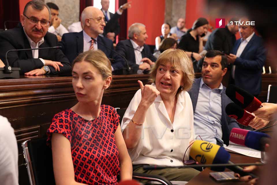 ხათუნა გოგორიშვილი – კომიტეტის სხდომა დილით ადრე დანიშნეს, რათა ნიკა მელია 12:00-13:00 საათისთვის უკვე დაიჭირონ, გადაგვიყვანეს ბიძინას რეჟიმში