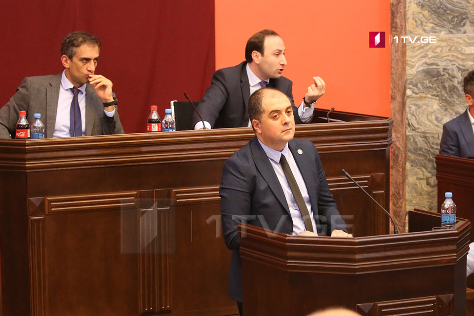 რატომ ითხოვს პროკურატურა ნიკა მელიასთვის პატიმრობის შეფარდებას - პროკურორის განმარტება პარლამენტში