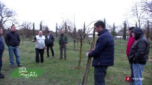 ფერმა #გაიგემეტი.mp4_20190707_142616.657