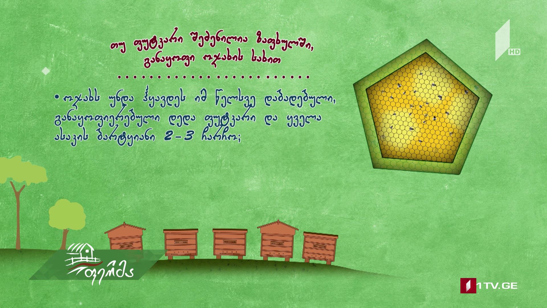 #უკეთრომაკეთო ფუტკრის მაღალპროდუქტიული ოჯახის შეძენა