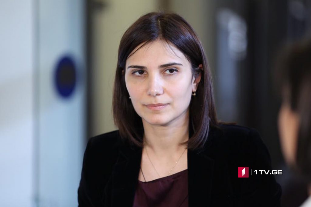 ნინო ჯავახაძე - ვერ გეტყვით, რომ უვიზო მიმოსვლას დღეს საფრთხე ემუქრება, თუმცა მოდუნების საშუალება არ გვაქვს