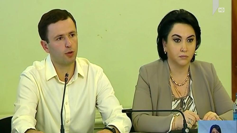 რეზოლუციის პროექტი