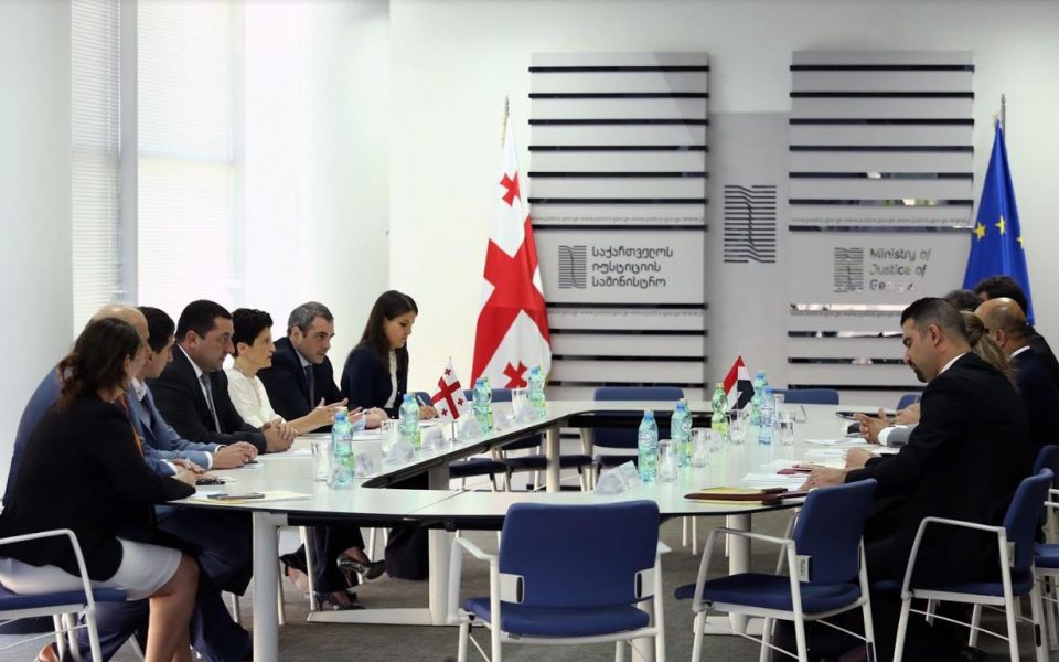 თეა წულუკიანმა ერაყის დელეგაცია მიიღო