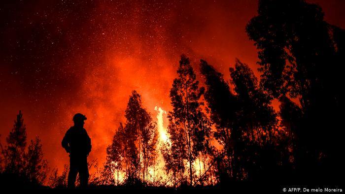 პორტუგალიაში ტყის ხანძრის ჩაქრობაში ათასზე მეტი ადამიანი მონაწილეობს