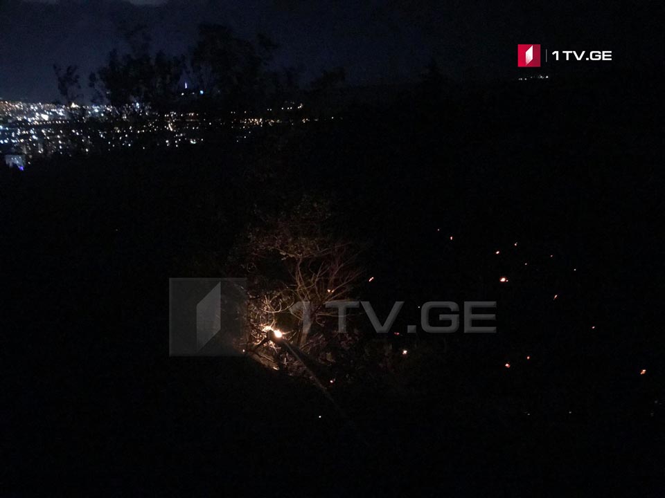 მუხათგვერდის სასაფლაოზე ხანძარი ლოკალიზებულია [ფოტო/ვიდეო]
