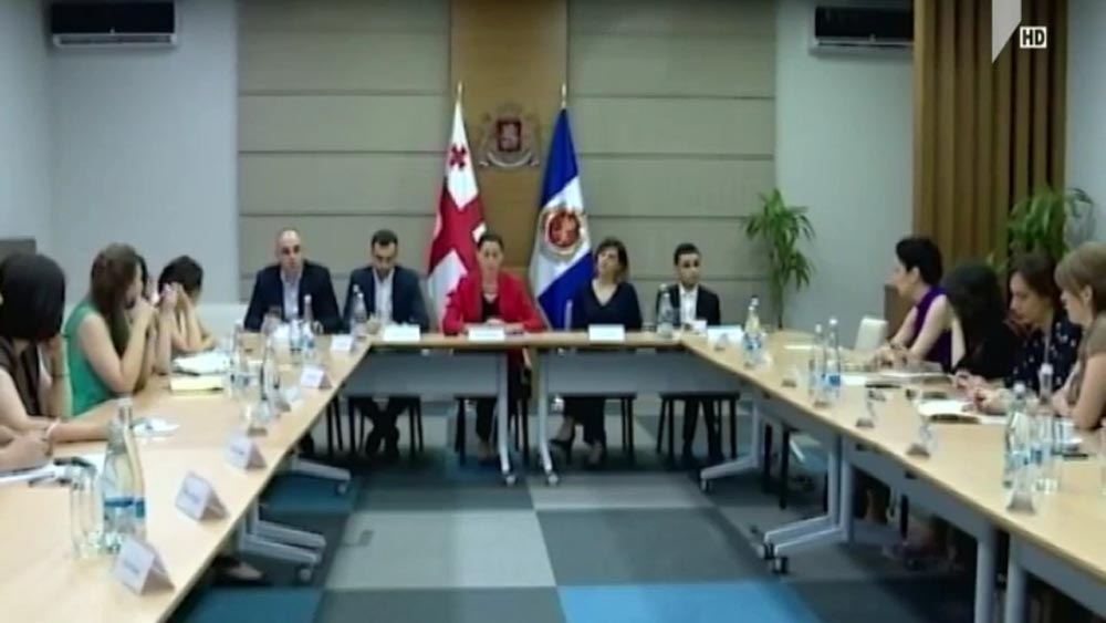 შეხვედრა არასამთავრობო ორგანიზაციების წარმომადგენლებთან