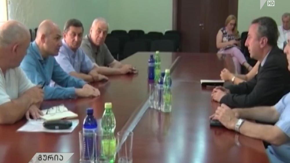 შეხვედრა გურიის რწმუნებულთან