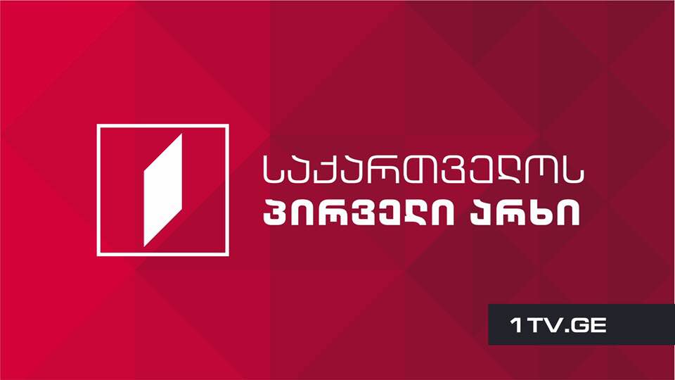 Первый канал Грузии предоставляет телевизионный эфир участникам обсуждения конституционного проекта