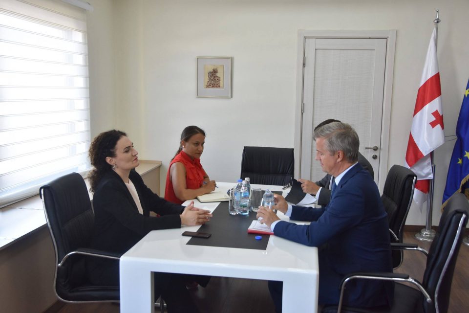 ქეთევან ციხელაშვილმა ევროკავშირის სადამკვირვებლო მისიის ხელმძღვანელ ერიკ ჰოგს გუგუტიანთკარში არსებული ვითარება გააცნო 