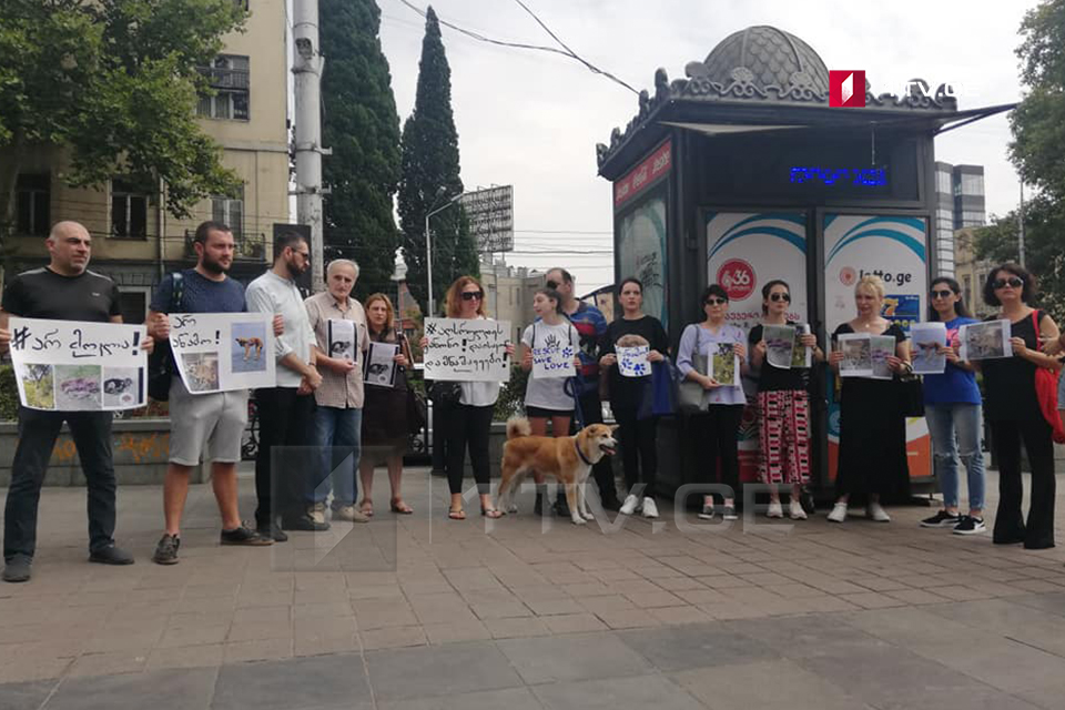 რუსთაველის მეტროსთან ცხოველთა უფლებადამცველებმა აქცია გამართეს