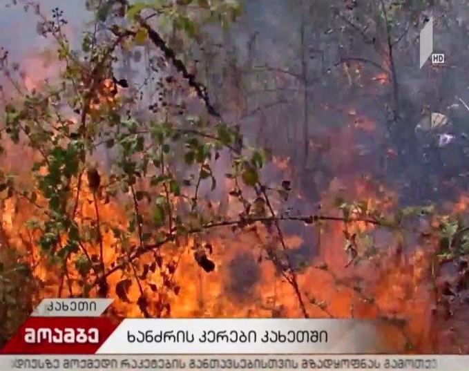 ხანძრის კერები კახეთში