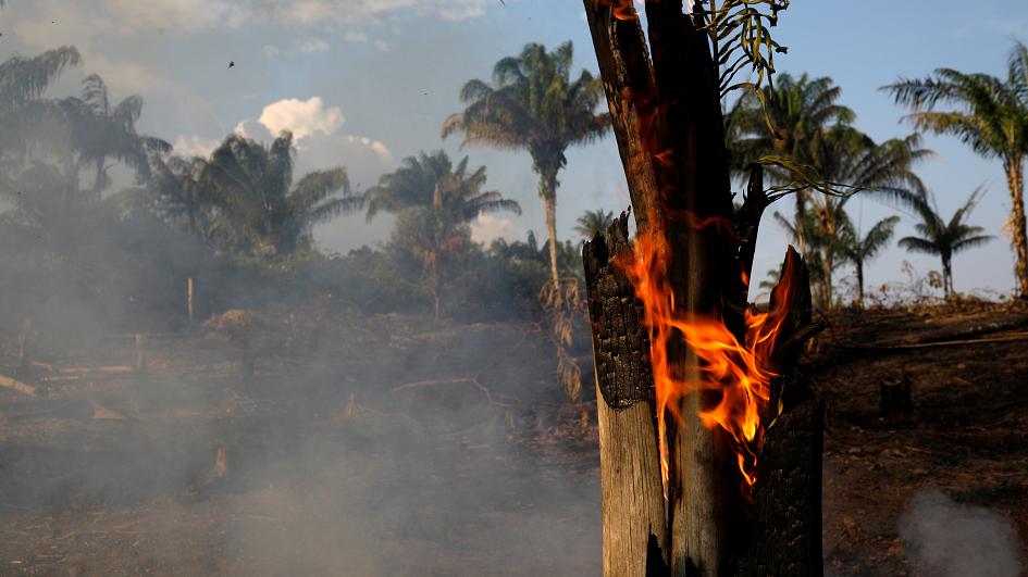 ბრაზილიის ხელისუფლებაში აცხადებენ, რომ ხანძრის ჩასაქრობად 44 ათასი სამხედროა მობილიზებული