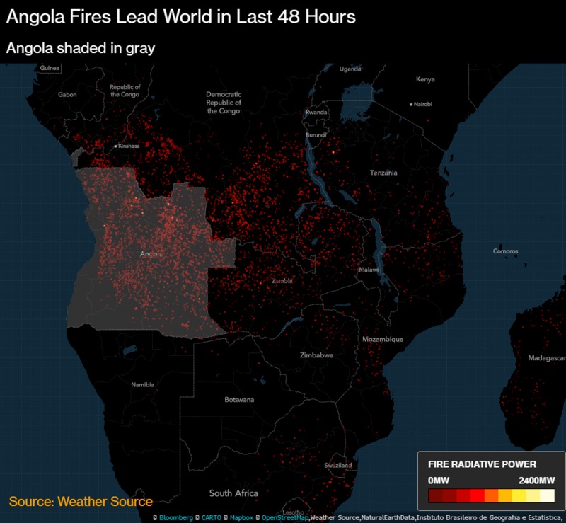 მედიის ცნობით, ბოლო 48 საათში, ცენტრალურ აფრიკაში მეტი ხანძრის კერა დაფიქსირდა, ვიდრე ბრაზილიაშია
